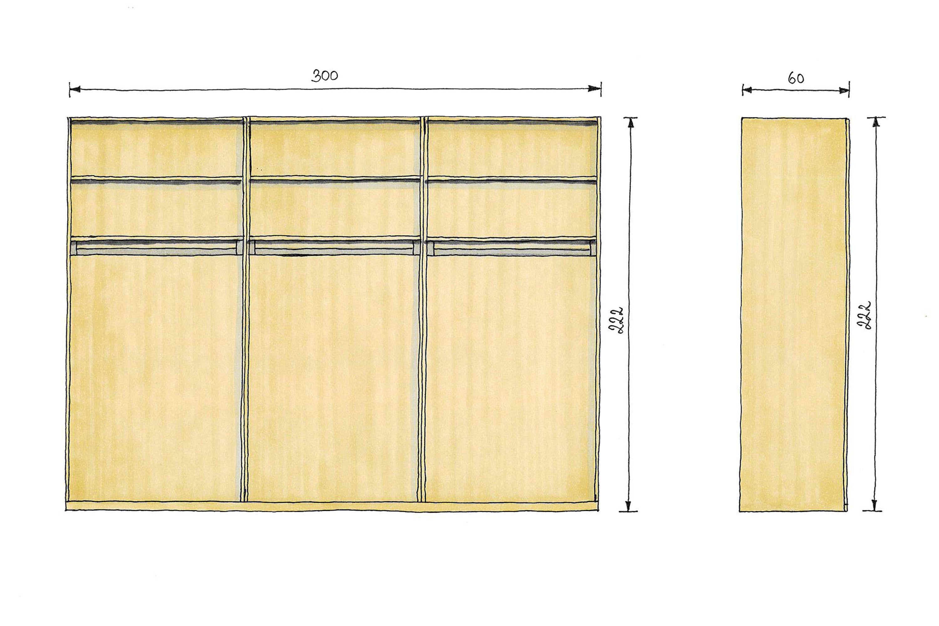 Abmessungen Eichenschrank 300x60x222cm